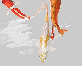 美少女格斗游戏《幻象破坏者Omnia》延期至2022年发售